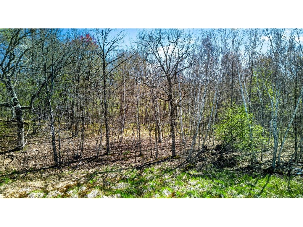Parcel 2 Grand Avenue Harris MN 55032 7062659 image7