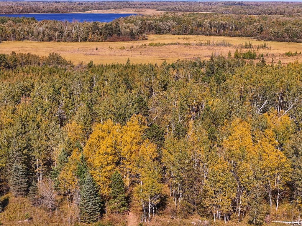 Parcel #3 TBD County 9 Becida MN 56678 6798004 image2