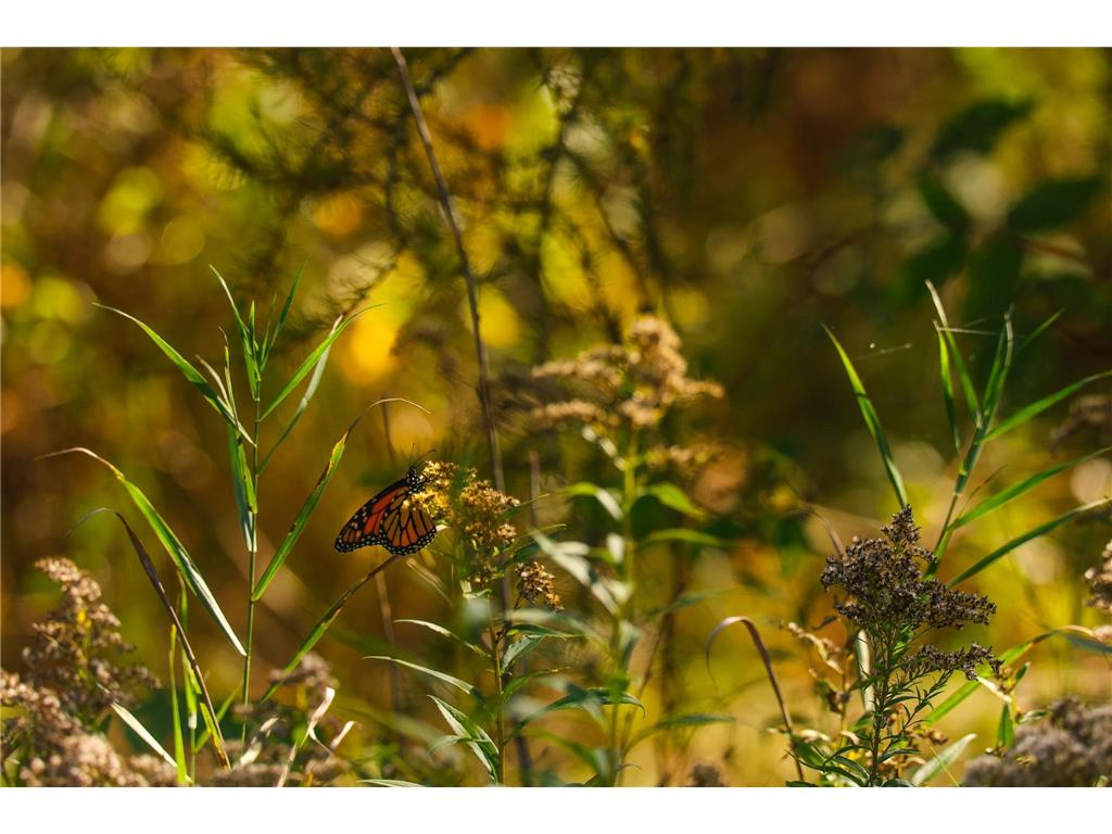 Parcel #3 TBD County 9 Becida MN 56678 6798004 image24