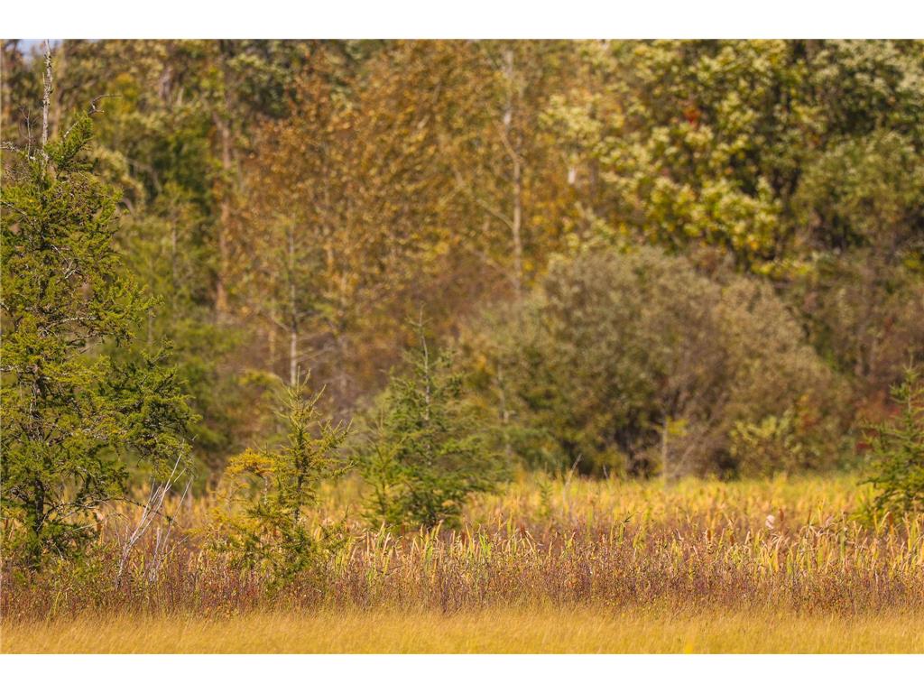 Parcel #3 TBD County 9 Becida MN 56678 6798004 image26