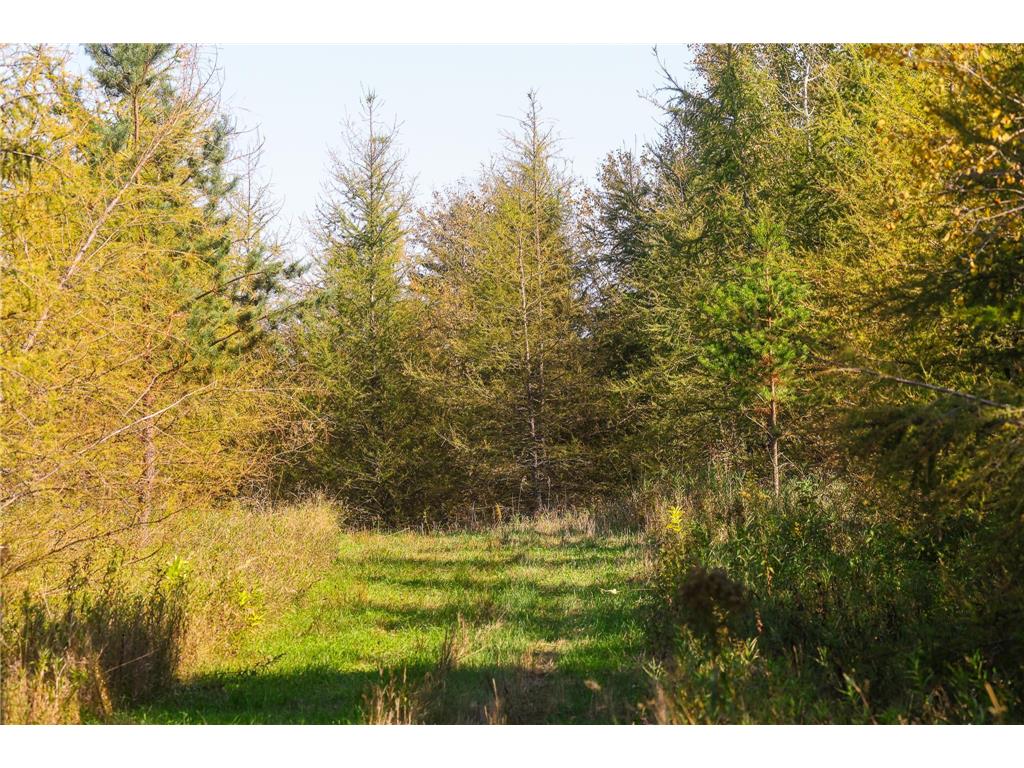 Parcel #3 TBD County 9 Becida MN 56678 6798004 image28