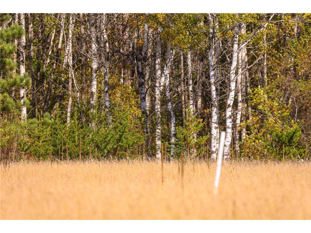 Parcel #3 TBD County 9 Becida MN 56678 6798004 image33
