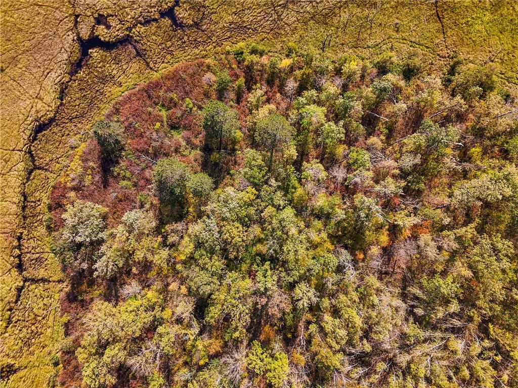 Parcel #3 TBD County 9 Becida MN 56678 6798004 image8