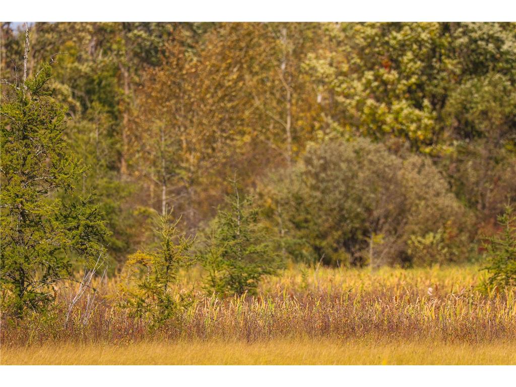 Parcel #3 TBD County 9 Becida MN 56678 7070920 image27