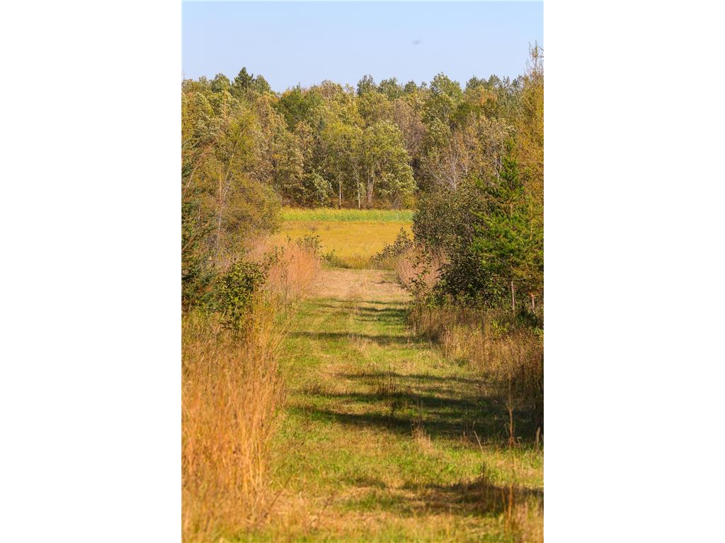 Parcel #3 TBD County 9 Becida MN 56678 7070920 image28
