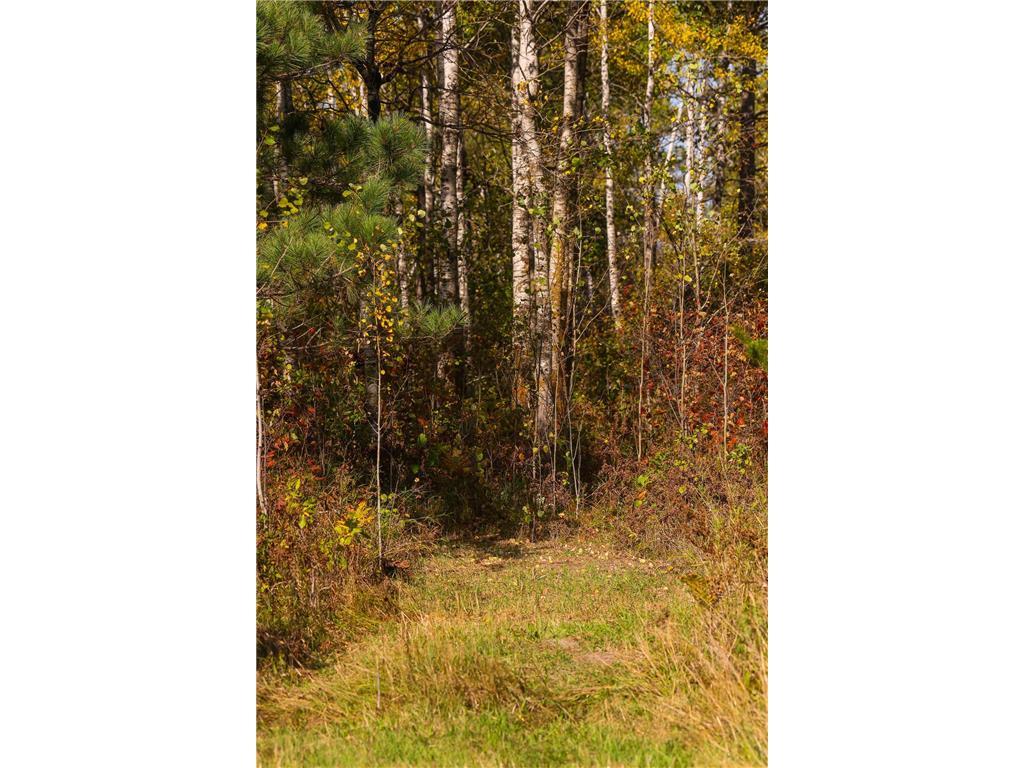 Parcel #3 TBD County 9 Becida MN 56678 7070920 image33