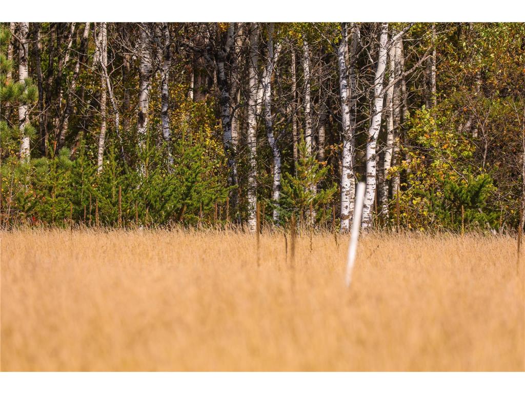 Parcel #3 TBD County 9 Becida MN 56678 7070920 image34