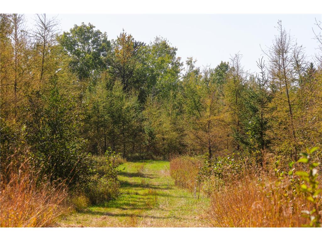 Parcel #3 TBD County 9 Becida MN 56678 7070920 image4