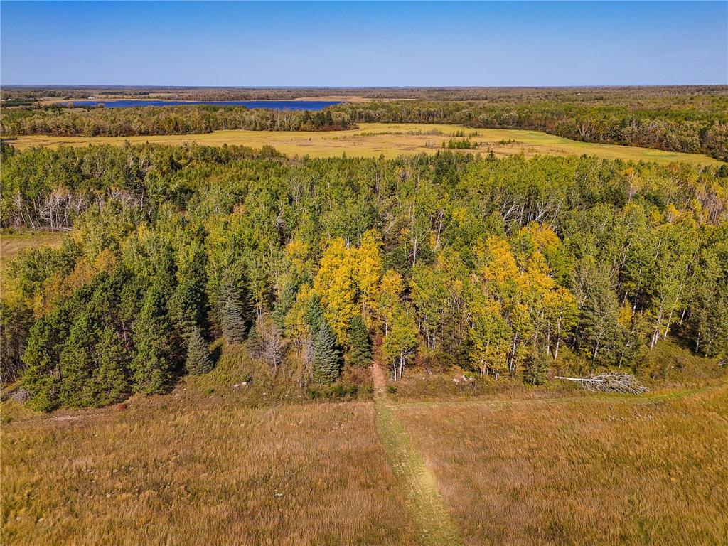 Parcel #3 TBD County 9 Becida MN 56678 7070920 image6