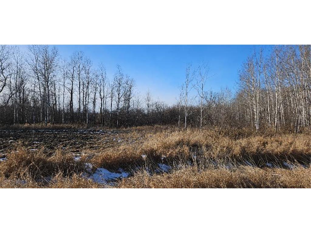 Parcel 3 Willow Road NE Carlos MN 56319 6670976 image1