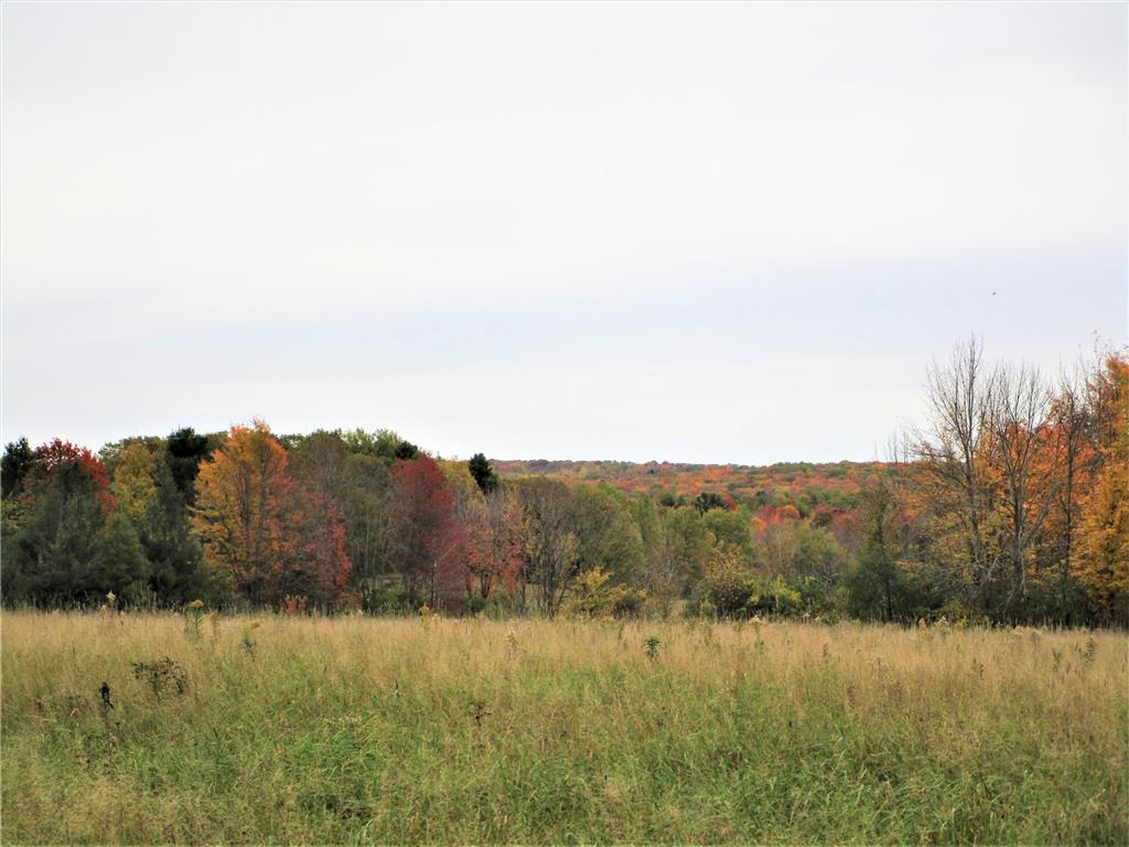 Parcel 4 90th Street Frederic WI 54837 6805896 image1
