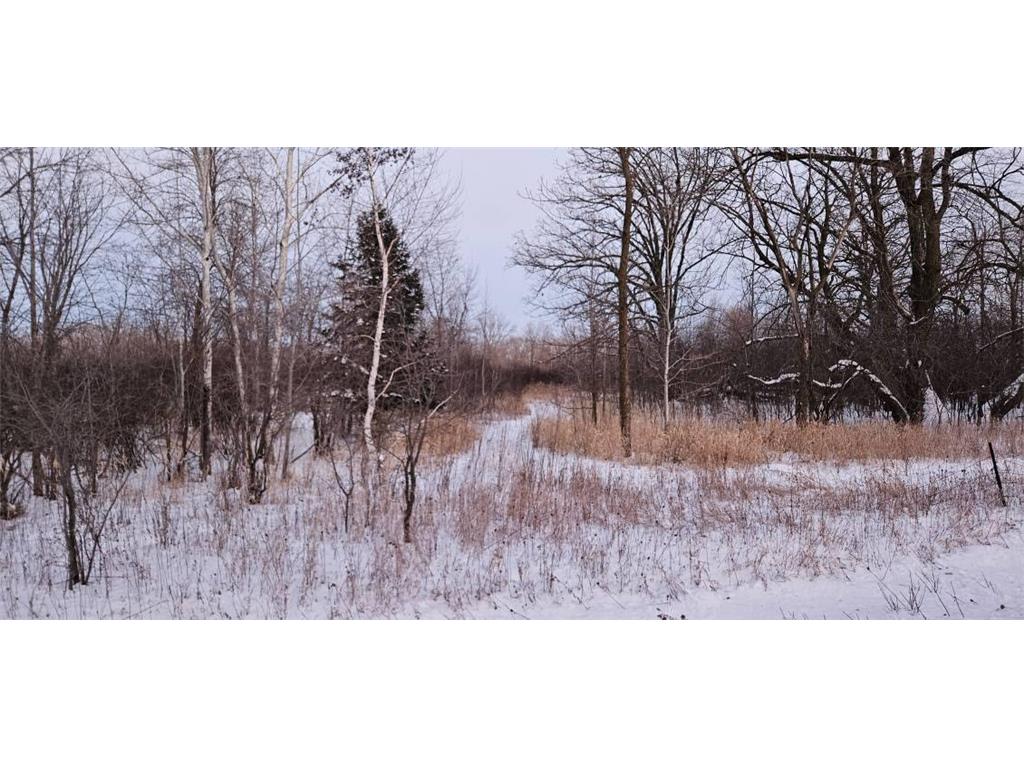 Parcel 4 CR-68 NE Carlos MN 56319 6670998 image1