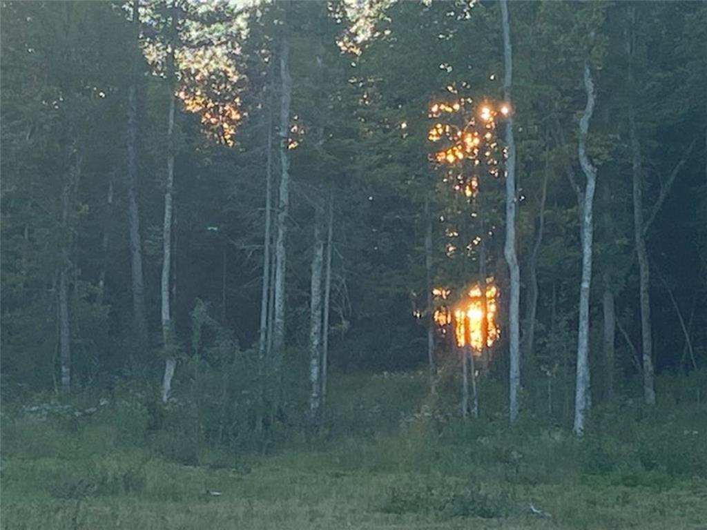 Parcel 4 Hwy 23 Orr MN 55771 - Pelican 6790778 image4