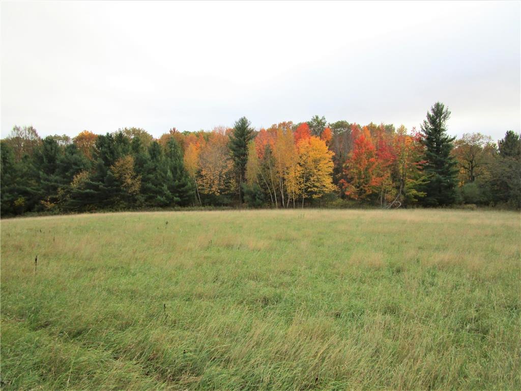 Parcel 5 340th Avenue Frederic WI 54837 6805899 image1