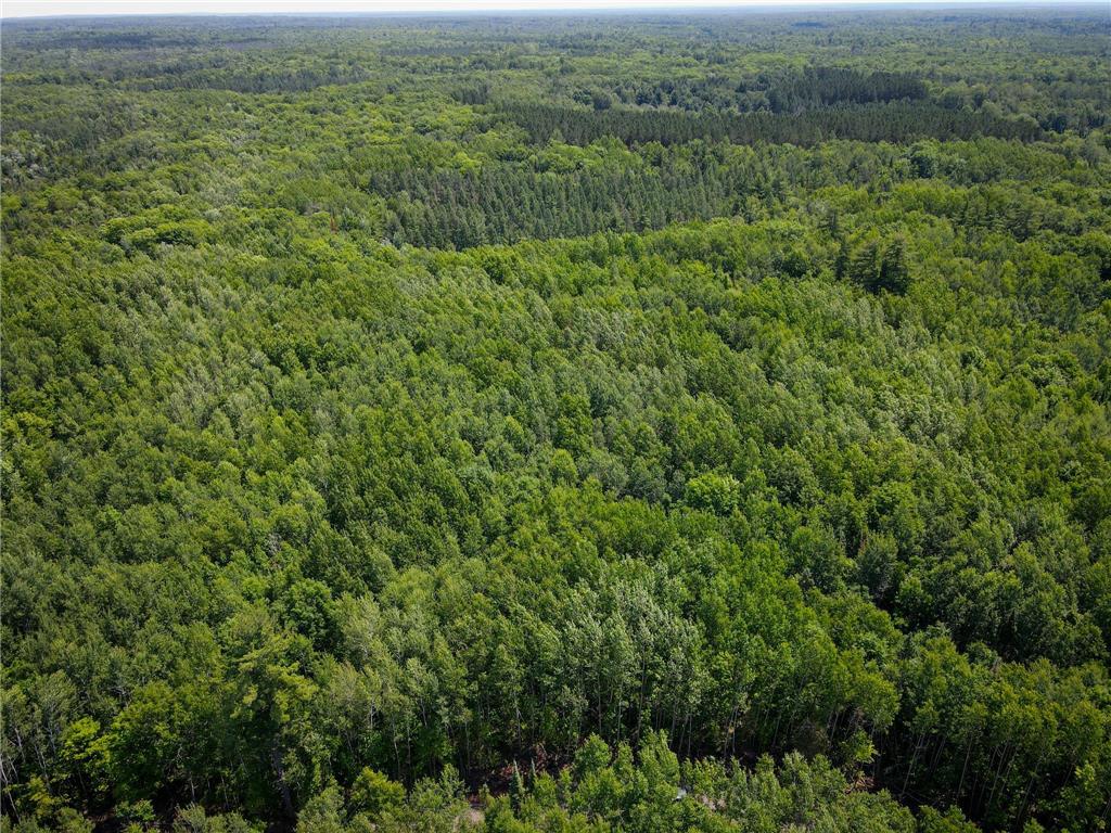 Parcel 6 County Road A Solon Springs Twp WI 54873 7102265 image14