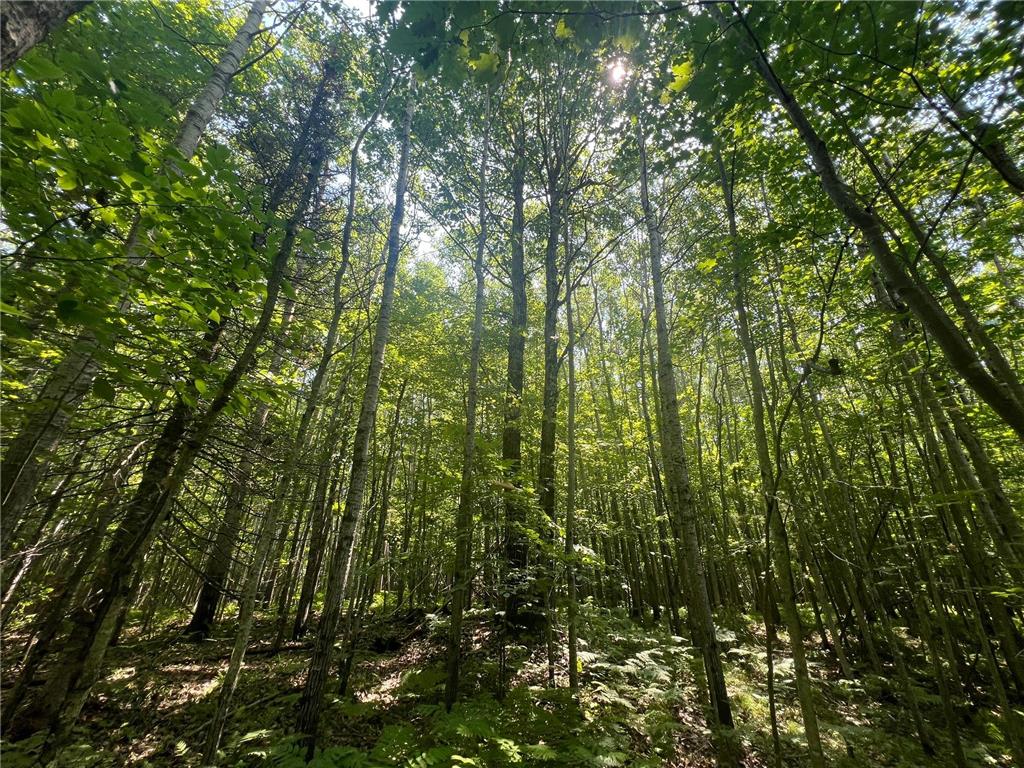 Parcel 6 County Road A Solon Springs Twp WI 54873 7102265 image17
