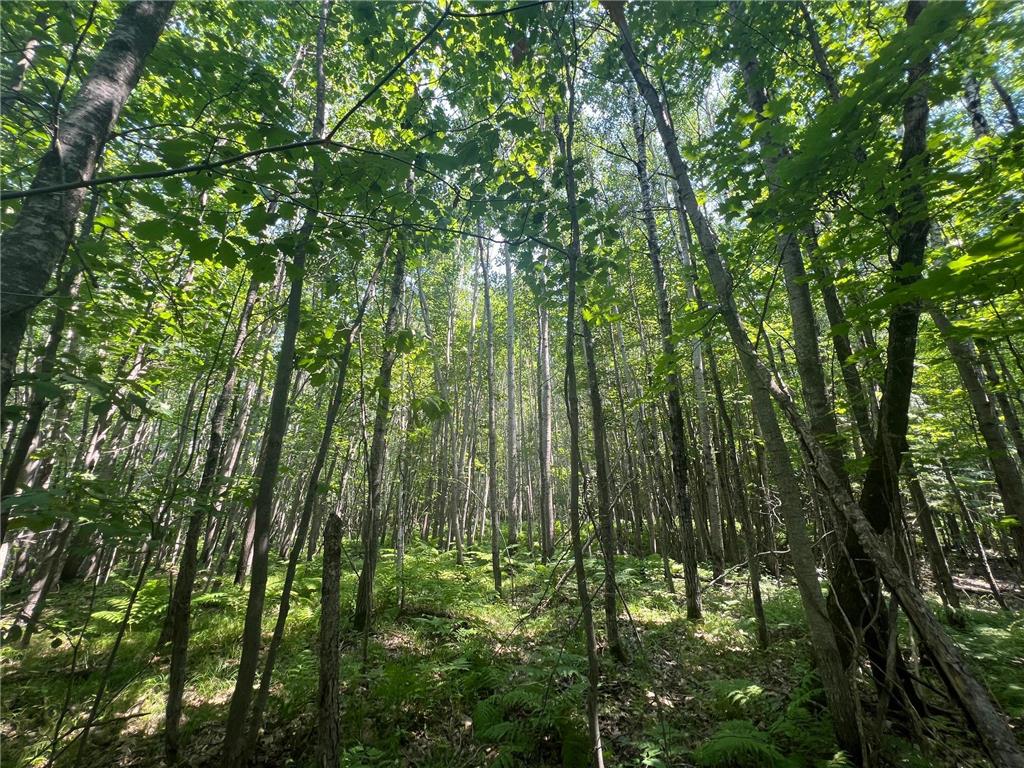 Parcel 6 County Road A Solon Springs Twp WI 54873 7102265 image5