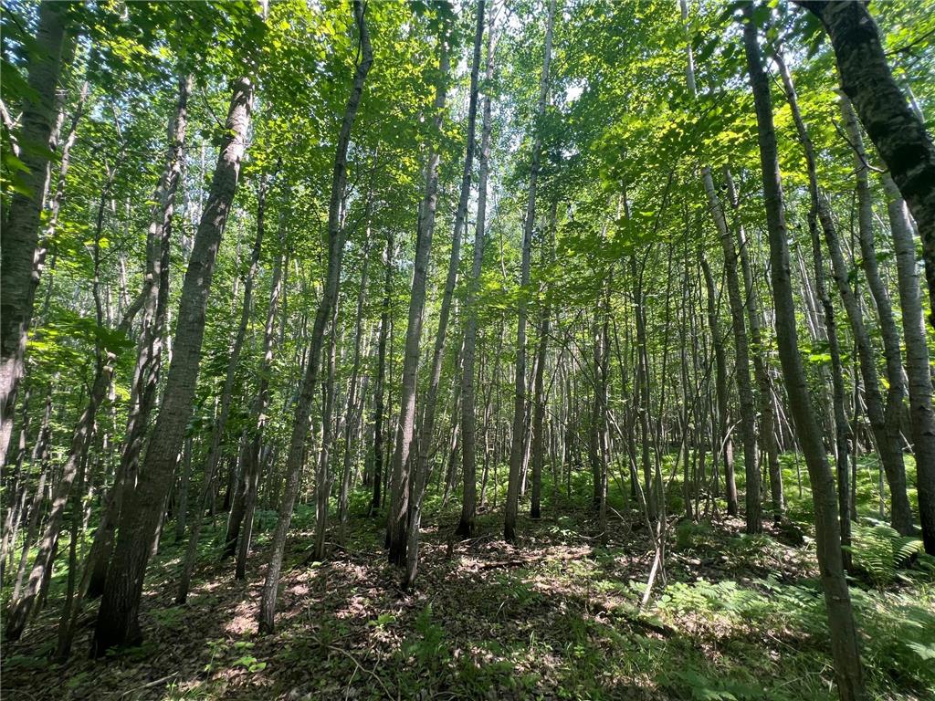 Parcel 6 County Road A Solon Springs Twp WI 54873 7102265 image6