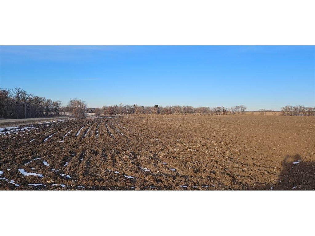 Parcel 6 Willow Road NE Carlos MN 56319 6671040 image1