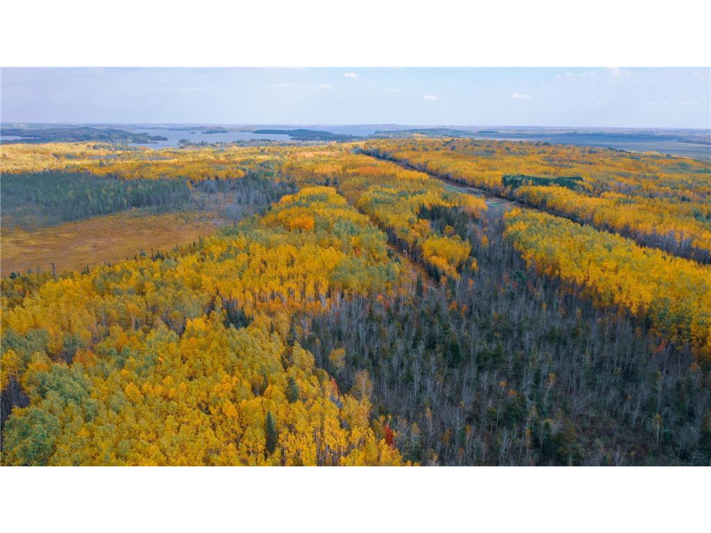 Parcel 8 TBD Hwy 115 Greenwood Twp MN 55790 6807701 image6