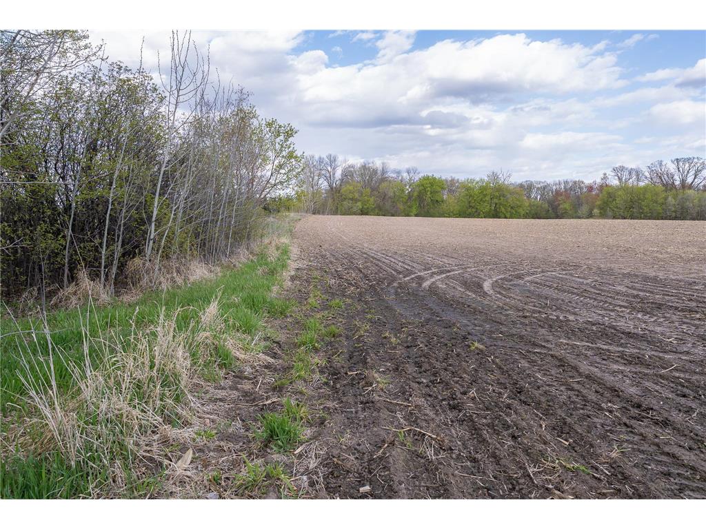Parcel A - 20AC 465th Street Sunrise Twp MN 55032 7081090 image1