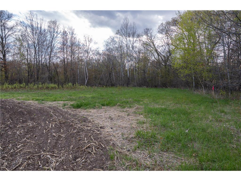 Parcel A - 20AC 465th Street Sunrise Twp MN 55032 7081090 image12