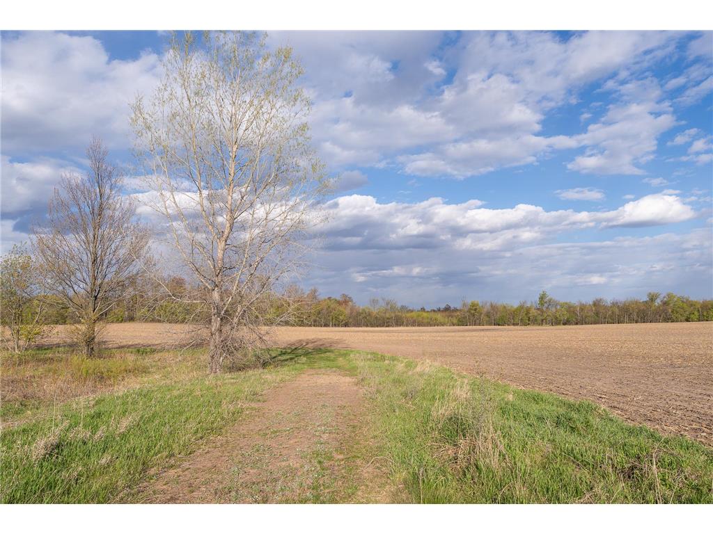 Parcel A - 20AC 465th Street Sunrise Twp MN 55032 7081090 image14