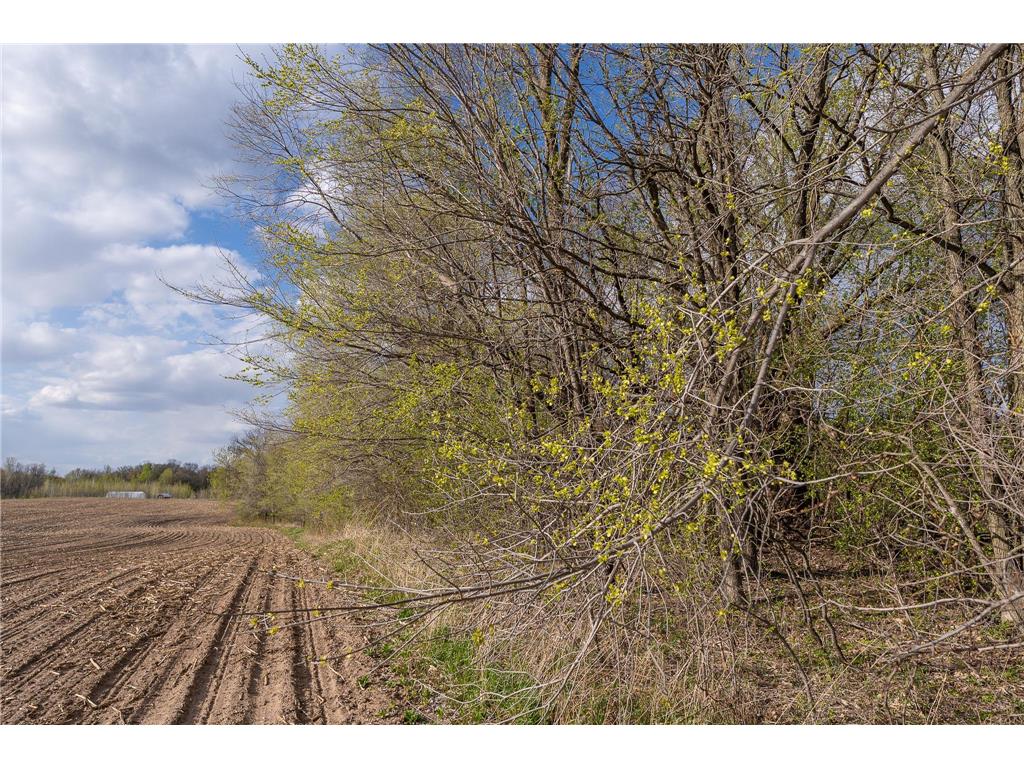Parcel A - 20AC 465th Street Sunrise Twp MN 55032 7081090 image16