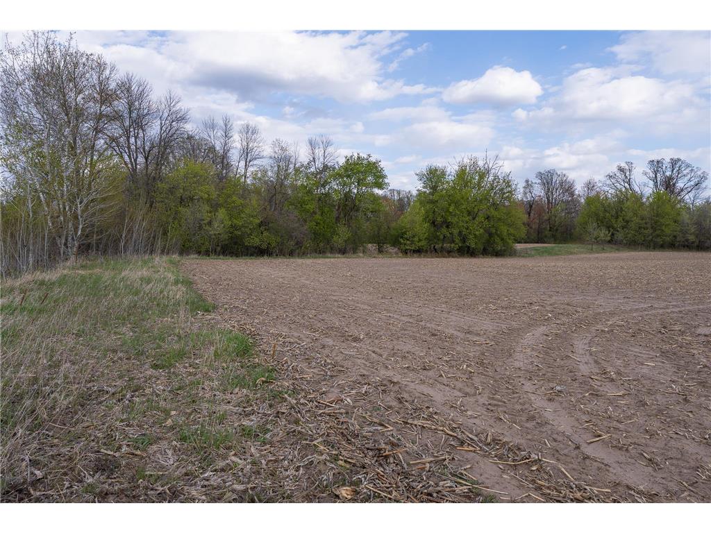 Parcel A - 20AC 465th Street Sunrise Twp MN 55032 7081090 image18