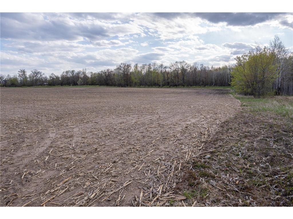 Parcel A - 20AC 465th Street Sunrise Twp MN 55032 7081090 image20
