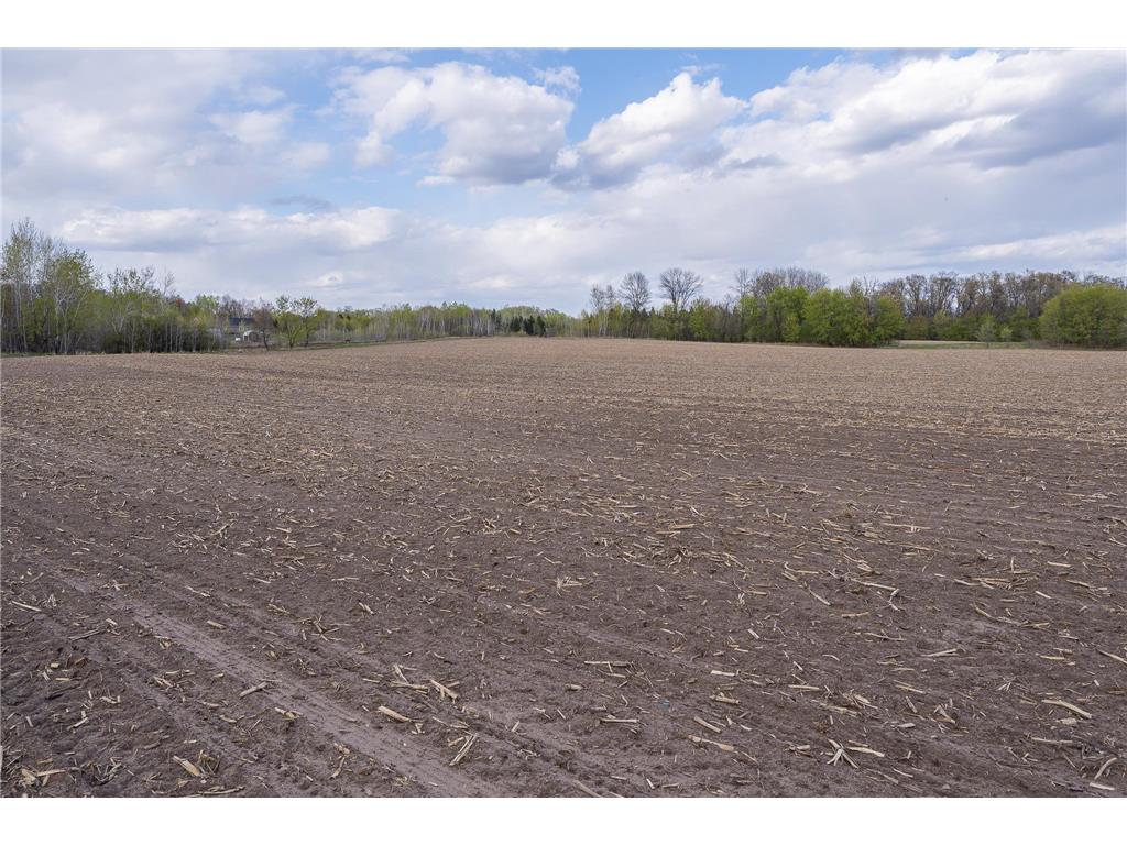 Parcel A - 20AC 465th Street Sunrise Twp MN 55032 7081090 image22