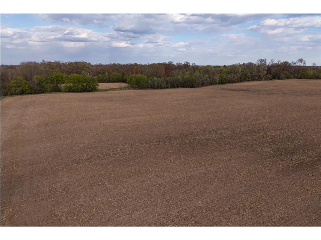 Parcel A - 20AC 465th Street Sunrise Twp MN 55032 7081090 image23