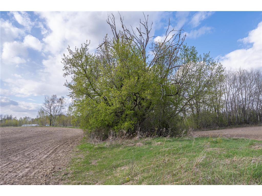 Parcel A - 20AC 465th Street Sunrise Twp MN 55032 7081090 image26