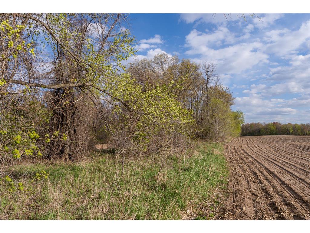 Parcel A - 20AC 465th Street Sunrise Twp MN 55032 7081090 image28