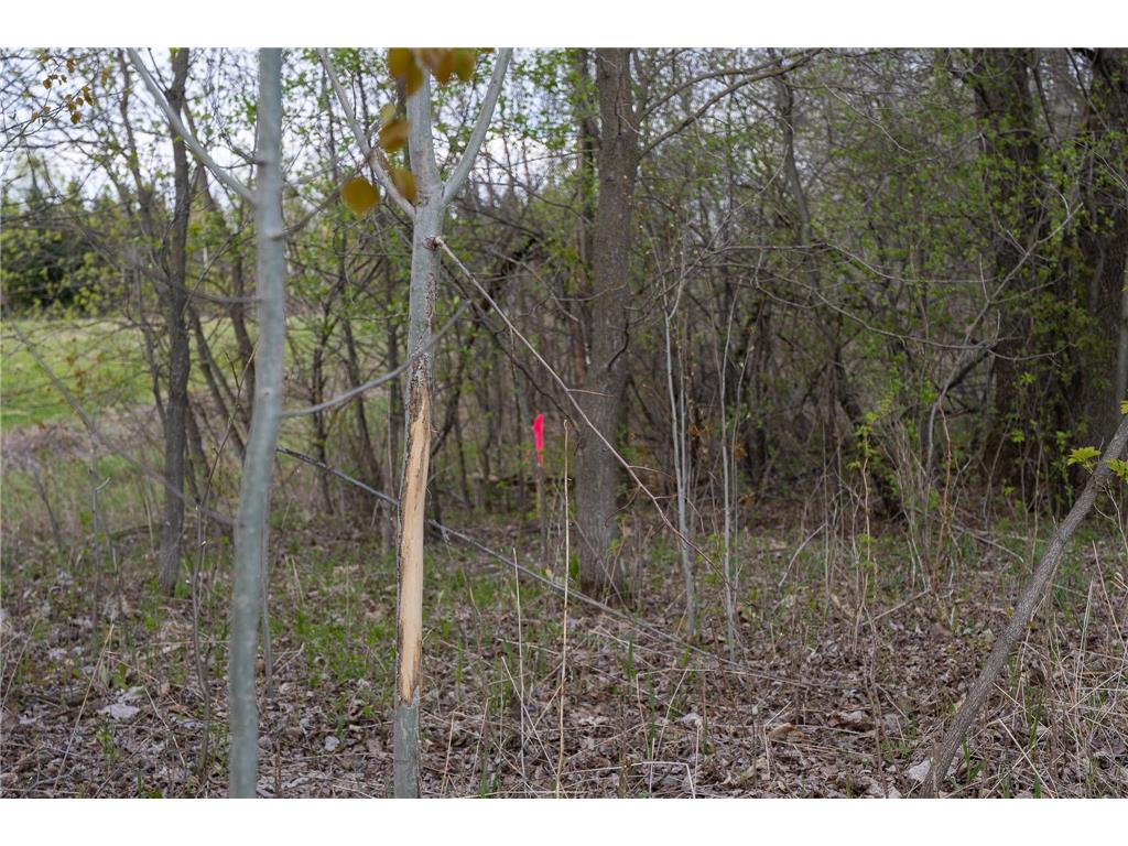 Parcel A - 20AC 465th Street Sunrise Twp MN 55032 7081090 image3