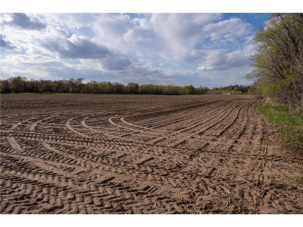 Parcel A - 20AC 465th Street Sunrise Twp MN 55032 7081090 image31