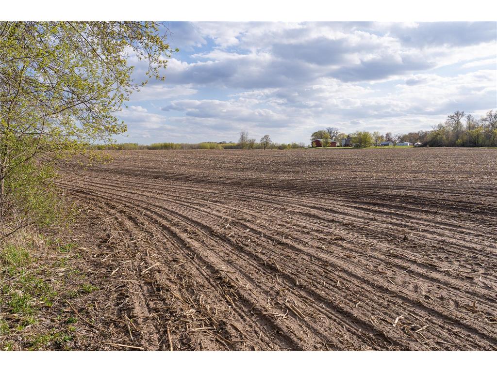Parcel A - 20AC 465th Street Sunrise Twp MN 55032 7081090 image33