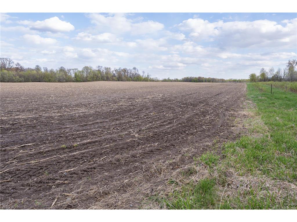 Parcel A - 20AC 465th Street Sunrise Twp MN 55032 7081090 image35
