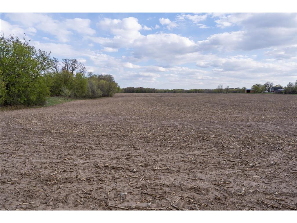 Parcel A - 20AC 465th Street Sunrise Twp MN 55032 7081090 image36