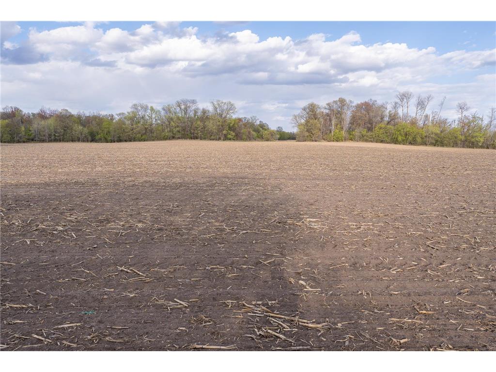 Parcel A - 20AC 465th Street Sunrise Twp MN 55032 7081090 image38
