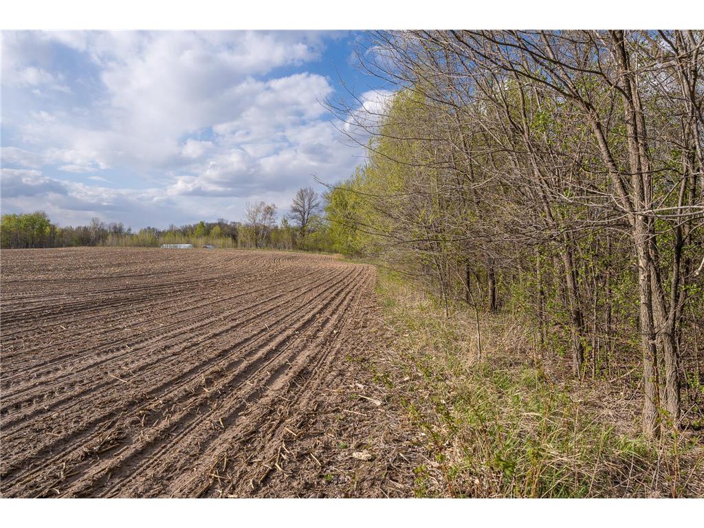 Parcel A - 20AC 465th Street Sunrise Twp MN 55032 7081090 image8