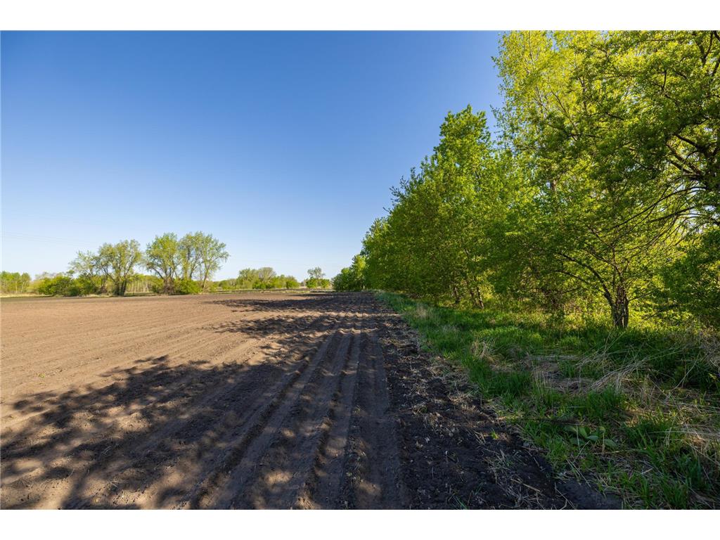 Parcel A 24AC 465th Street Sunrise Twp MN 55032 6725721 image1