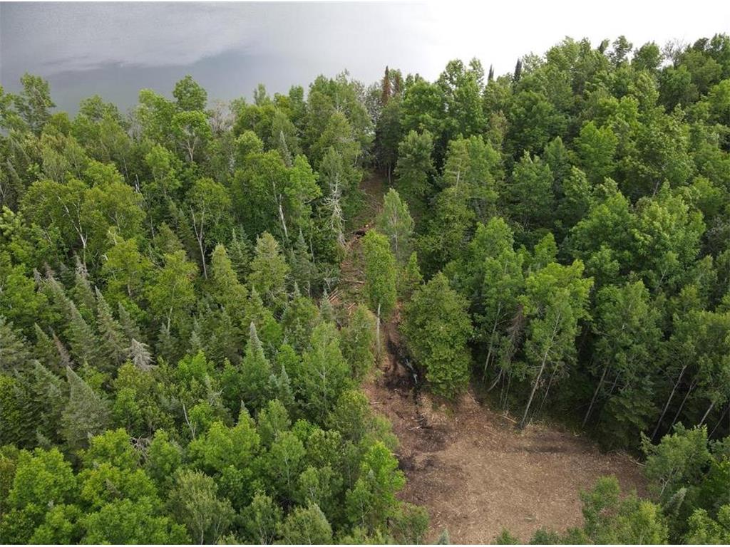 Parcel A County Road 35 Lake Jessie Twp MN 56636 - Little Jessie 6803446 image1