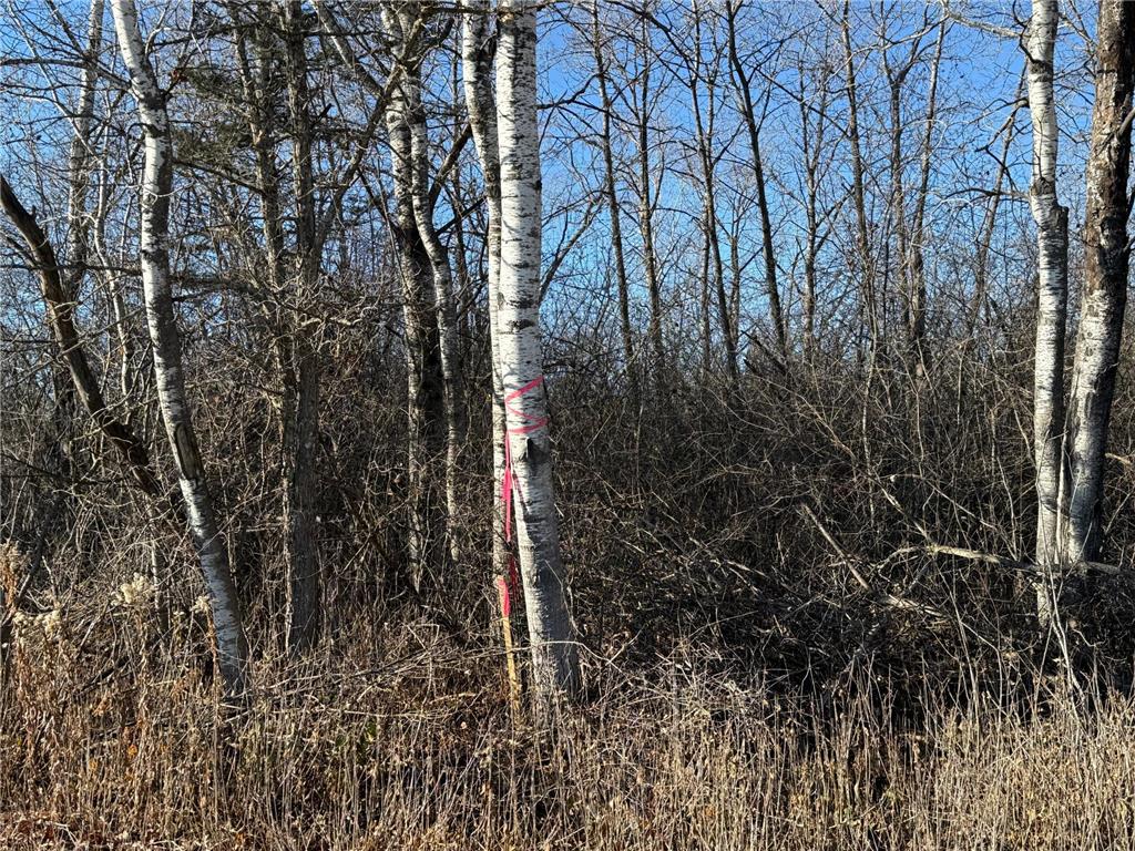 Parcel A Parameter Road Deer River MN 56636 6820165 image12