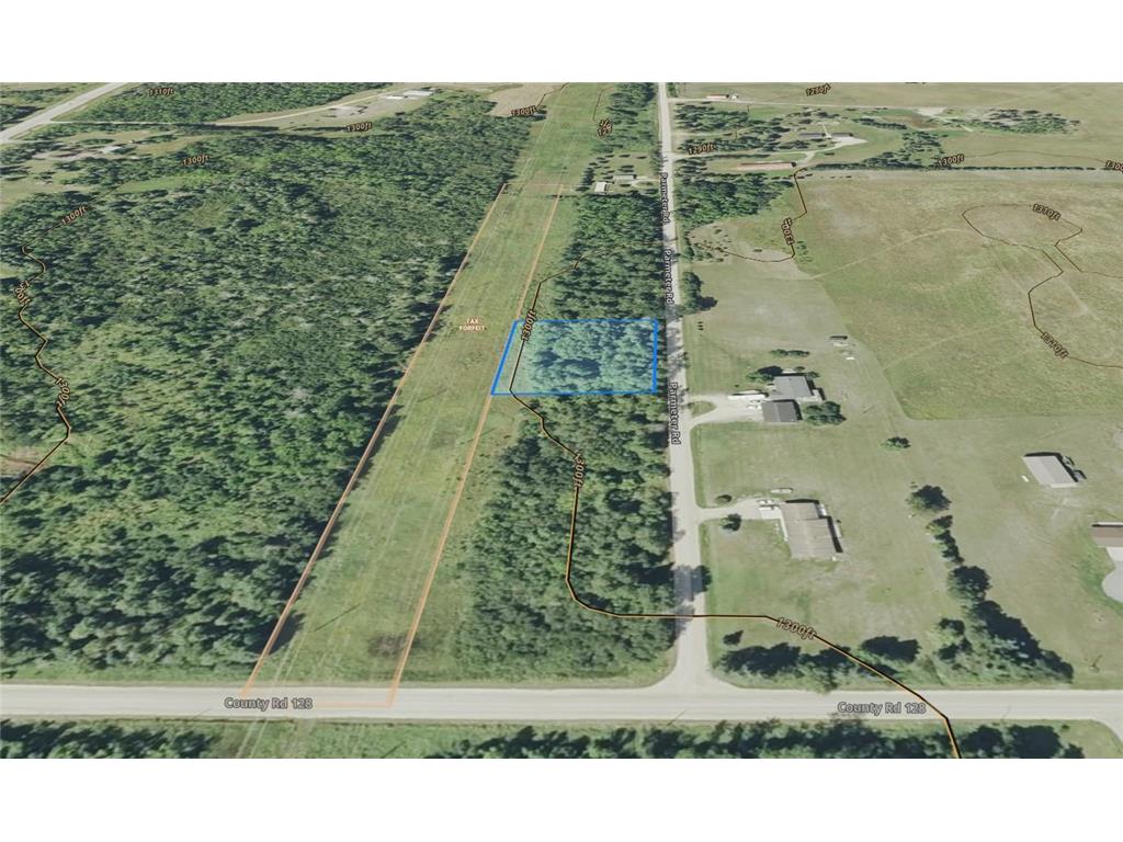 Parcel A Parameter Road Deer River MN 56636 6820165 image13