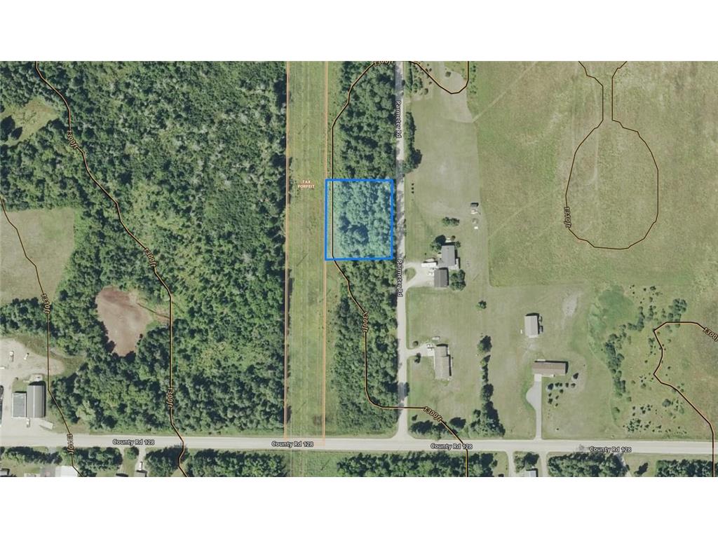 Parcel A Parameter Road Deer River MN 56636 6820165 image14