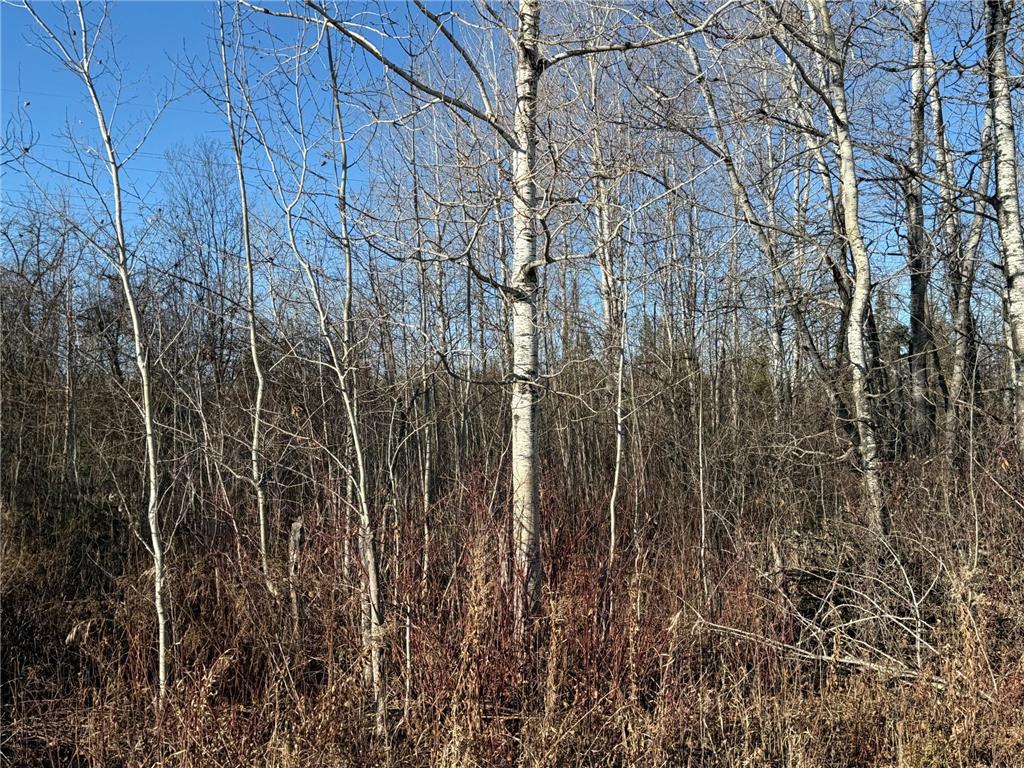 Parcel A Parameter Road Deer River MN 56636 6820165 image24
