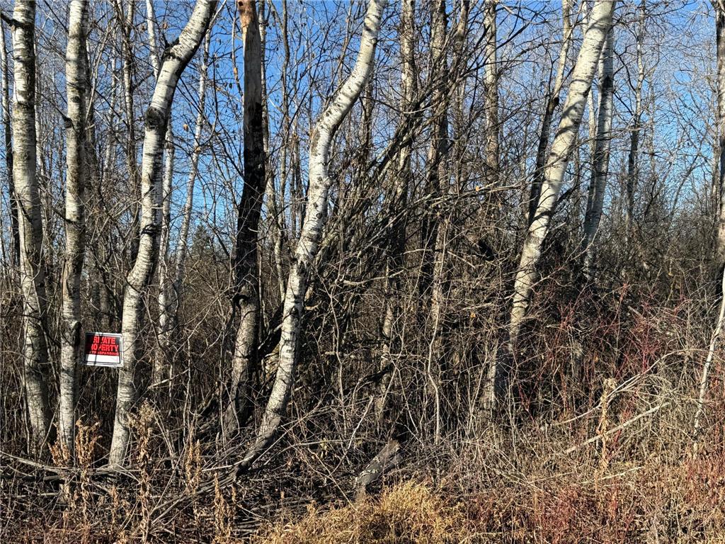 Parcel A Parameter Road Deer River MN 56636 6820165 image25