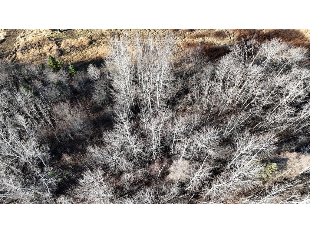 Parcel A Parameter Road Deer River MN 56636 6820165 image9