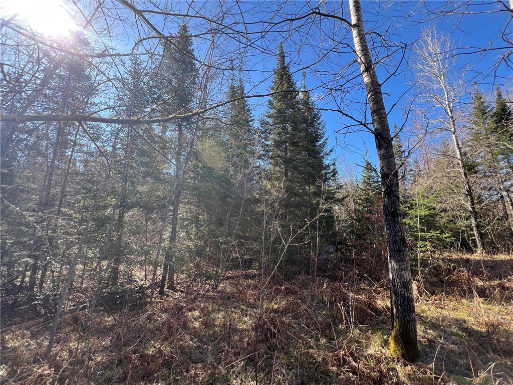 Parcel A Township Road D Wawina Twp MN 55736 7076652 image7